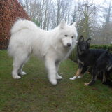 Foto van Team Black & White