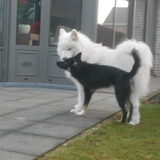 Foto van Team Black & White