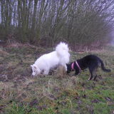 Foto van Team Black & White