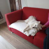 Foto van anja met Bobby(r.i.p. 25-9-25)