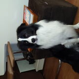 Foto van carla en Buddy