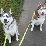 Foto van Tiffani & Pepper