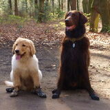 Foto van L&R