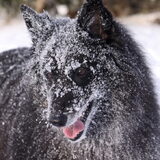 Genieten van de sneeuwpret