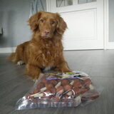 Foto van judith