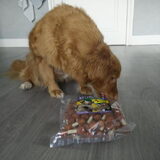 Foto van judith