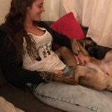 Foto van Dutchshepherdteam