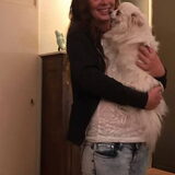 Foto van Dutchshepherdteam