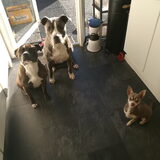 Wanneer krijgen we nou wat lekkers??