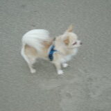 Lekker op het strand.. brr wat was het koud!