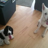 Mike en Joy