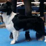 Foto van Lise met Ruby, Naïn & Qalvin