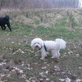 Foto van sylvia