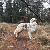 Even mooi poseren.