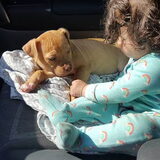 Foto van Erika & Faya  ?BRL?