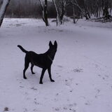 Foto van Douglas