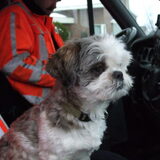 kyra mee op de strooiwagen