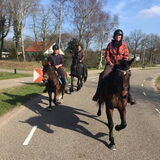Foto van sylvia