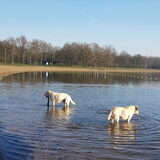 Foto van esther
