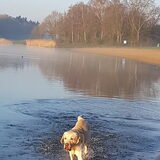 Foto van esther
