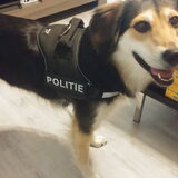 Foto van Rosanja