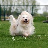 Foto van Xtine
