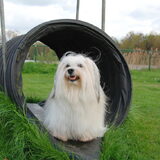 Foto van Xtine