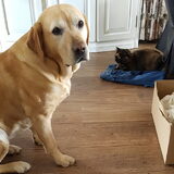 Foto van laura   Diva&Nova