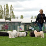 Foto van Xtine