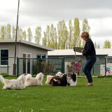 Foto van Xtine