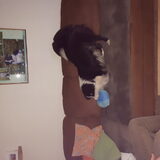 Foto van carla en Buddy