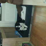 Foto van carla en Buddy