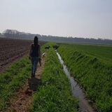 Foto van Dutchshepherdteam