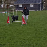 Foto van sylvia