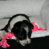 Foto van Angelique, Kleine Maybe en Tess <3