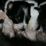 Foto van Angelique, Kleine Maybe en Tess <3