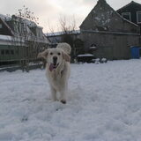 nog een tong