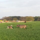 Foto van Jeanine :)
