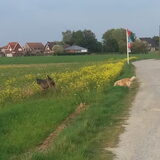Foto van Jeanine :)