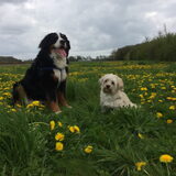 Foto van Ilse met haar schatjes: Binny & Stoetel