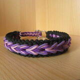 Foto van Danielle, Kyra*Kaylin*, Djaira en Djaidey