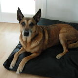 Donna op haar nieuwe mand.
