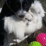 Foto van Angelique, Kleine Maybe en Tess <3