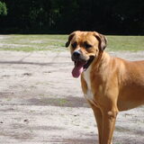Gabanna