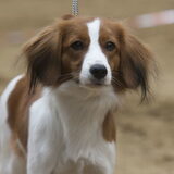 Foto van Angelique; Bruno, Charlie & Fenna