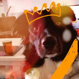 Happy kingsday ????????