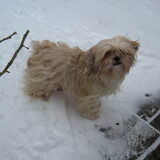 Puk in de sneeuw