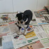 Foto van Angelique, Kleine Maybe en Tess <3
