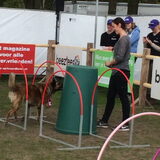 Foto van Dutchshepherdteam