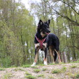 Foto van Team Black & White